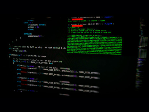 Chia – почему это не скам и стоит ли её обходить стороной?