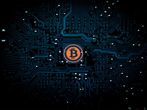 Новая криптовалюта chia: разница плотов и принципы успешного фарминга