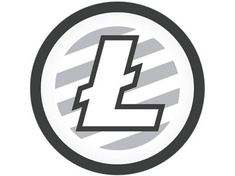 Интервью директора IBMM 