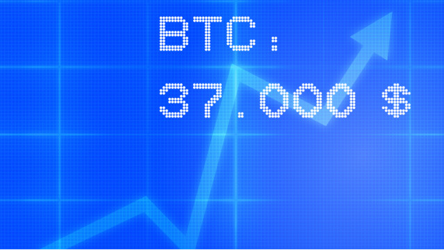 Торговый бот 